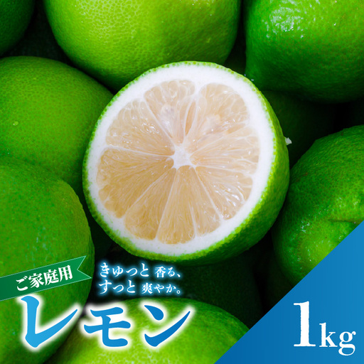 グリーンレモン 家庭用 お試し 1kg [2026年9月下旬頃から順次発送]| 訳あり レモン 檸檬 [RNK030_g]