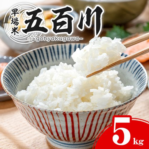 【令和8年産 新米】五百川 5kg お米 おこめ 米 コメ 白米 早場米 極早生品種 ご飯 ごはん おにぎり お弁当【赤間農業開発株式会社】ta719