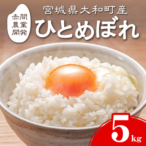 【令和8年産 新米】＜先行予約受付中！R8年9月下旬から順次発送予定＞ ひとめぼれ 5kg お米 おこめ 米 コメ 白米 ご飯 ごはん おにぎり お弁当【赤間農業開発株式会社】ta721