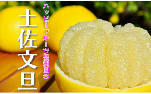 ハッピーフルーツ果樹園 土佐文旦 10kg (5kg × 2箱) 家庭用