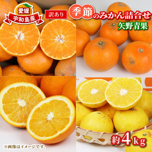 [みかん]訳ありみかん詰め合わせ約4kg矢野青果
