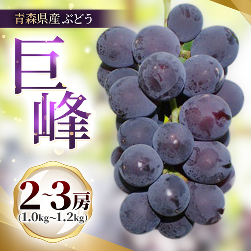 青森県産ぶどう　巨峰　2～3房(1kg以上)【配送不可地域：離島】【1763866】