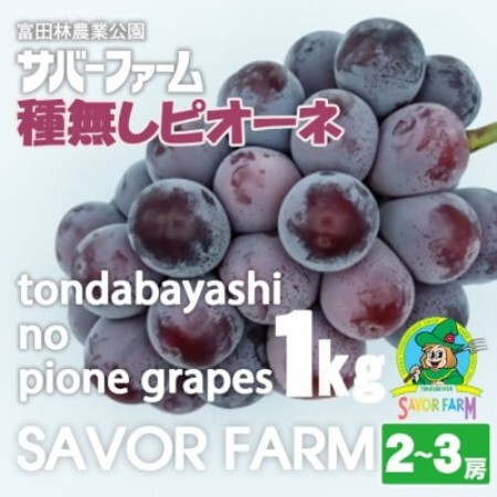 種無しピオーネ1kg(2～3房)【配送不可地域：離島】【1763150】