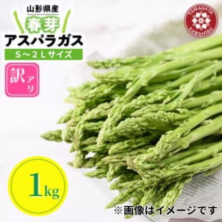 【先行予約】令和9年 山形県川西町産 雪国春アスパラガス 訳あり(不揃い) S～2L サイズ　1kg【配送不可地域：離島・北海道・沖縄県・信越、北陸・近畿・中国・四国・九州】【1764703】