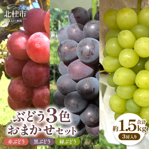 [2026年発送 先行予約]ぶどう3色おまかせセット 約1.5kg [h254]