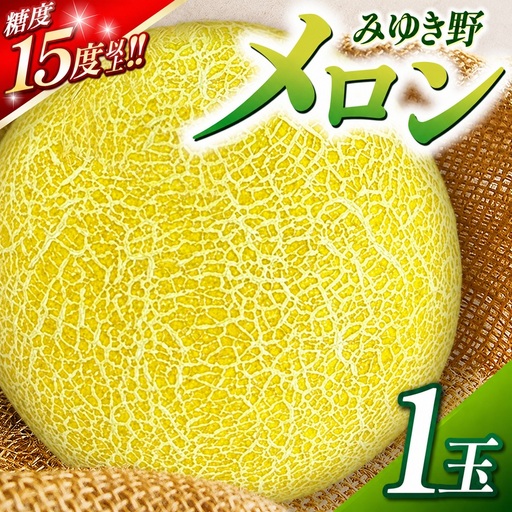 みゆき野メロン1玉 | メロン みゆき野メロン みゆき野 フルーツ 信州 木島平 北信州