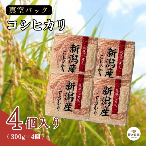 真空パック 五泉産 精米 詰め合わせセット コシヒカリ4袋入り 新潟県 五泉市 渡辺農園