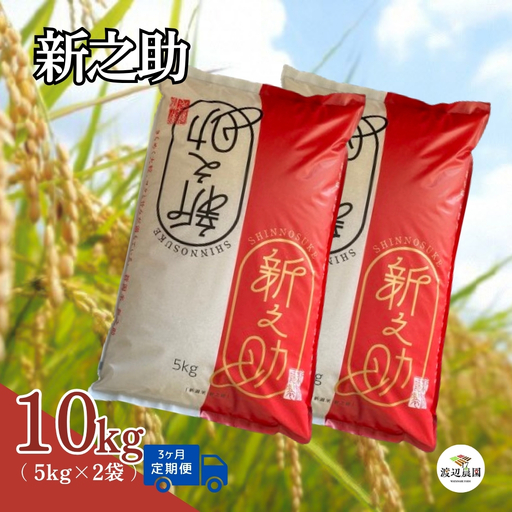 令和8年産先行予約[ 定期便 3ヶ月 ] 米 10kg × 3回 五泉産 新之助 | 白米 精米 しんのすけ お米 新潟県 五泉市 渡辺農園