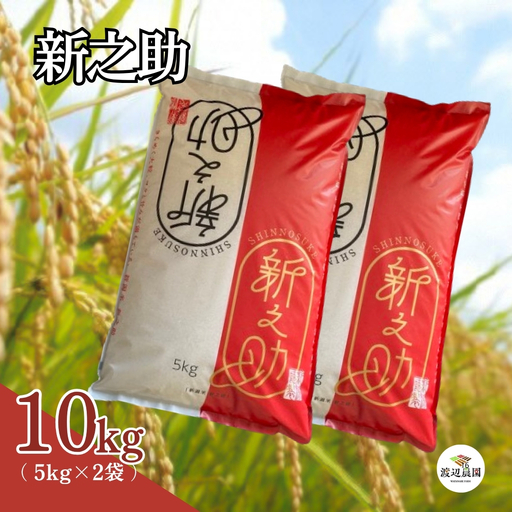 [先行予約]令和8年産 新米 新之助 10kg(5kg×2袋) 渡辺農園[10月下旬発送開始] | 新潟県産 白米 米 五泉市