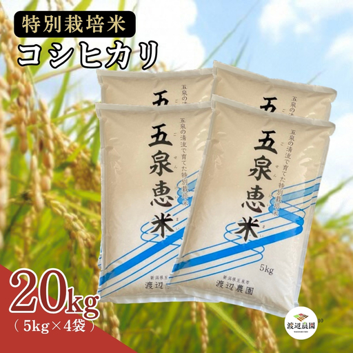 [令和7年産]新潟県産コシヒカリ 20kg(5kg×4袋) 特別栽培米 渡辺農園 | 白米 精米 米 五泉市