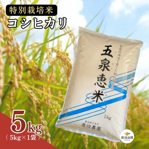 令和7年産 コシヒカリ 5kg (5kg × 1袋) 五泉産 五泉恵米 特別栽培米 | 新潟産コシヒカリ 白米 精米新潟県 五泉市 渡辺農園