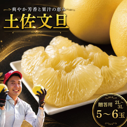 [贈答用]文旦 2L〜3L 5〜6玉 土佐文旦 大北果樹園