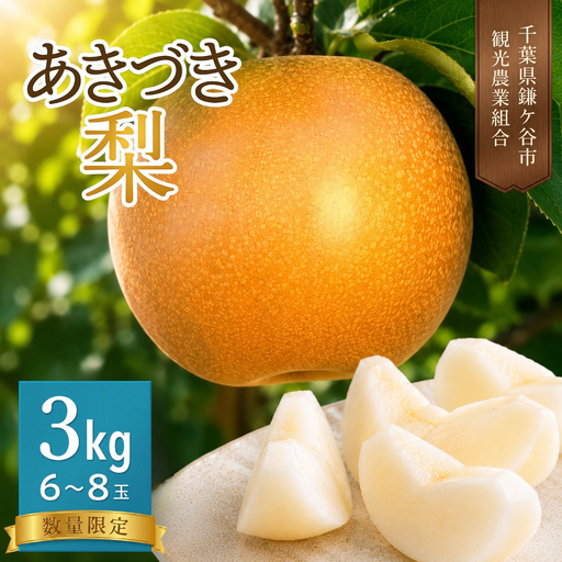 [あきづき約3kg]かまがや育ちの完熟梨(観光組合)