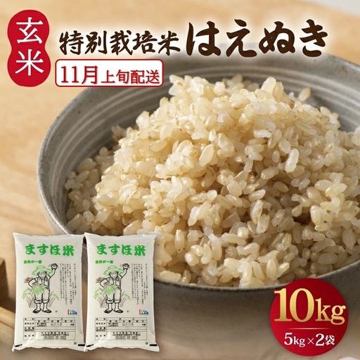 11月上旬配送/令和8年産[玄米] 特別栽培米『はえぬき』 10kg(5kg×2袋)[減農薬・減化学肥料] MA