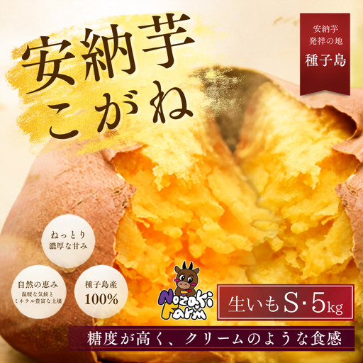 【 先行予約 】 種子島 野﨑ファーム 安納いも ( こがね )  S サイズ 5kg　NFN656【300pt】// 安納芋 本場  糖度 熟成期間 G.I 保護制度 ブランド  生いも 芋 いも さつまいも