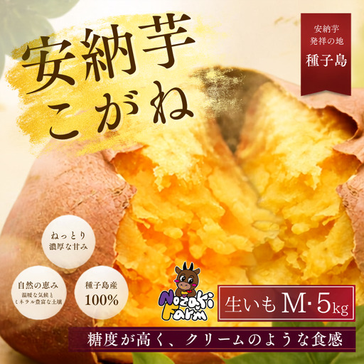 【 先行予約 】 種子島 野﨑ファーム 安納いも ( こがね )  M サイズ 5kg　NFN657【300pt】// 安納芋 本場  糖度 熟成期間 G.I 保護制度 ブランド  生いも 芋 いも さつまいも 