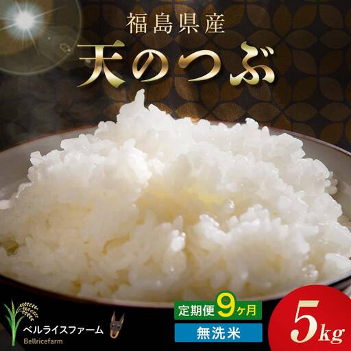 〈先行予約〉令和8年産【お米の定期便】9ヶ月配送 農家直送 ベルライスファーム 天のつぶ 無洗米 5kg F6U-458