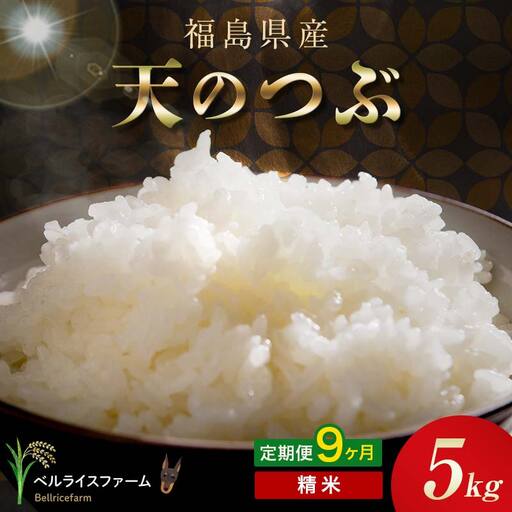 〈先行予約〉令和8年産【お米の定期便】9ヶ月配送 農家直送 ベルライスファーム 天のつぶ 精米 5kg F6U-460