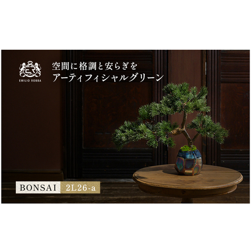 BONSAI 2L26-a