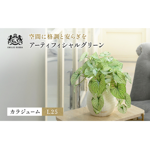 カラジュームL25