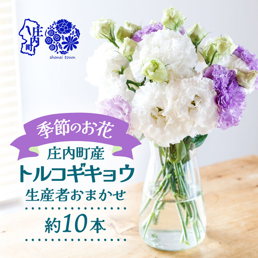 [R8.9月下旬発送]トルコギキョウ 10本 切り花 生産者おまかせ 2~3色ミックス トルコキキョウ 八重咲き フリンジ咲き 生花 花束 冷蔵便 国産 庄内町フラワーラボ