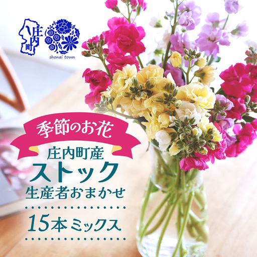 【R9.1月発送】ストック 15本 切り花 生産者おまかせ ミックス スプレータイプ スタンダードタイプ 先行受付 ピンク 黄色 紫 白 アラセイトウ 自宅 リビング 花 生花 花束 国産 庄内町フラワーラボ