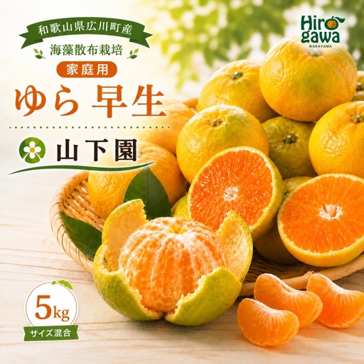 ゆら早生 5kg 家庭用 サイズ混合 / 和歌山 有田 広川 由良 みかん 柑橘 果物 くだもの フルーツ 果実 ※2026年10月中旬〜11月上旬頃に順次発送予定 [yme003-c-5]