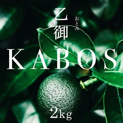 かぼす発祥の地臼杵市乙見・ブランドかぼす[乙御KABOS]2kg カボス 青果 柑橘