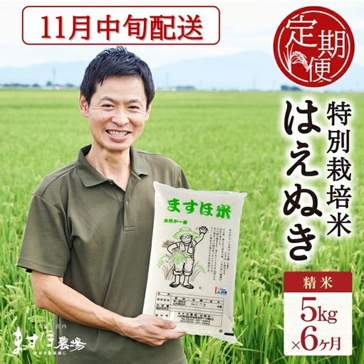 11月中旬発送開始/[6回定期便]令和8年産[精米]特別栽培米『はえぬき』5kg×6回(計30kg) [減農薬・減化学肥料] MA
