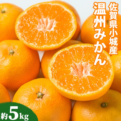 [先行予約]佐賀県小城市産 温州みかん 約5kg 大津4号 みかん ほたるの郷