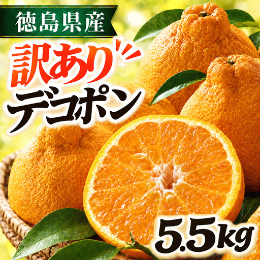 【2月上旬より順次発送】デコポン 訳あり 5.5kg 柑橘 デコポン