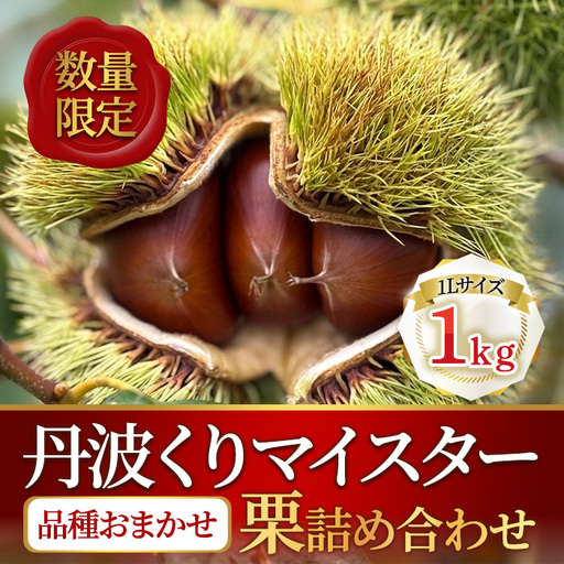 丹波栗1kg 1L 品種おまかせ 福寿くり園