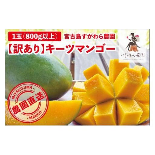 《2026年発送》宮古島すがわら農園 【訳あり】 キーツマンゴー １玉（FR009)