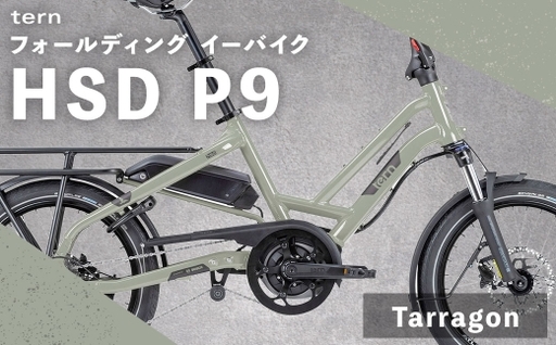 [ Tarragon ] tern フォールディング イーバイク HSD P9 20インチ 自転車 電動自転車 電動アシスト自転車 電動 電動アシスト 折りたたみ自転車 折りたたみ 通勤 通学 日常使い コンパクト