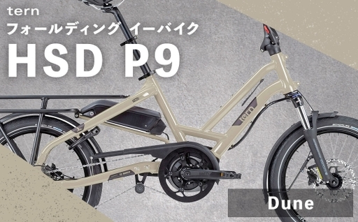 [ Dune ] tern フォールディング イーバイク HSD P9 20インチ 自転車 電動自転車 電動アシスト自転車 電動 電動アシスト 折りたたみ自転車 折りたたみ 通勤 通学 日常使い コンパクト