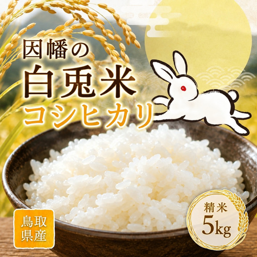 Y1111 因幡の白兎米 コシヒカリ 令和8年度産 精米済 5kg
