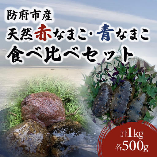 防府市産天然赤なまこ青なまこ食べ比べセット 凪翔政栄丸 山口県 防府市 A-H20 なまこ ナマコ 食べ比べ 活き 赤青セット 瀬戸内海 珍味 このわた おつまみ 刺身