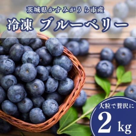 冷凍ブルーベリー2kg(500g×4パック)【配送不可地域：離島】【1761153】