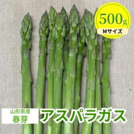 【先行予約】令和9年 山形県川西町産 雪国春アスパラガス Mサイズ　500g【配送不可地域：離島・北海道・沖縄県・信越、北陸・近畿・中国・四国・九州】【1764682】