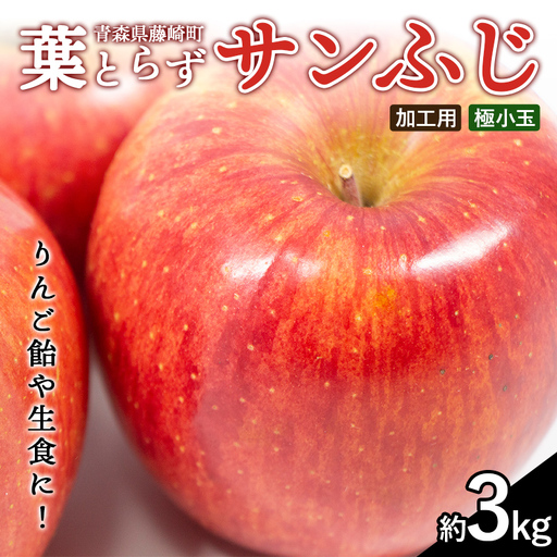 ≪先行予約≫ 【加工用】 葉とらずサンふじ 極小玉 約3kg 【アップルアーク】 F41-0161