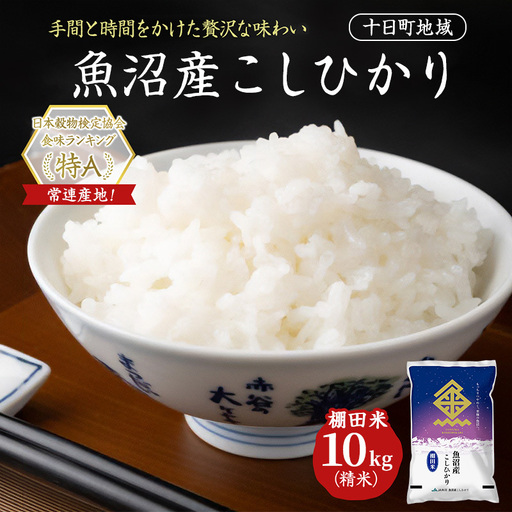 【令和8年産 先行予約】魚沼産こしひかり 棚田米(十日町地域) 精米 10kg(5kg×2) 米 お米 コシヒカリ 十日町市