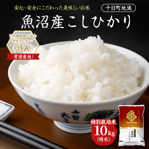 【令和8年産 先行予約】特別栽培米 魚沼産こしひかり(十日町地域) 精米 10kg(5kg×2) 米 お米 コシヒカリ 十日町市