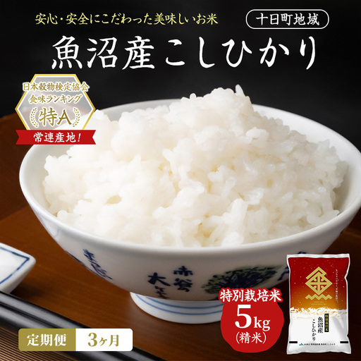 【令和8年産 先行予約】【3ヶ月定期便】特別栽培米 魚沼産こしひかり(十日町地域) 精米 5kg 米 お米 コシヒカリ 定期 十日町市