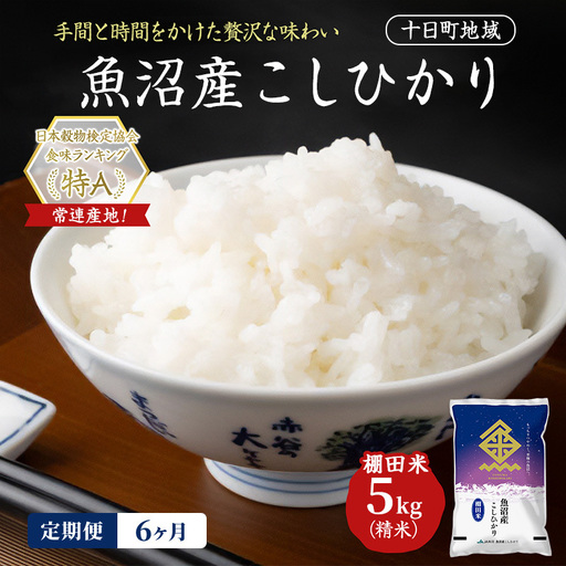 【令和8年産 先行予約】【6ヶ月定期便】魚沼産こしひかり 棚田米(十日町地域) 精米 5kg 米 お米 コシヒカリ 定期 十日町市