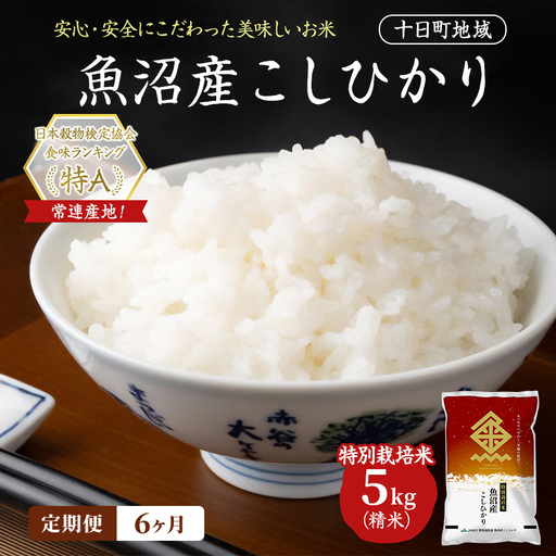 【令和8年産 先行予約】【6ヶ月定期便】特別栽培米 魚沼産こしひかり(十日町地域) 精米 5kg 米 お米 コシヒカリ 定期 十日町市