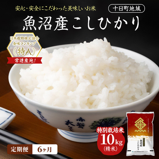 【令和8年産 先行予約】【6ヶ月定期便】特別栽培米 魚沼産こしひかり(十日町地域) 精米 10kg(5kg×2) 米 お米 コシヒカリ 定期 十日町市