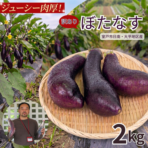 訳あり品 伝統野菜 ぼたなす 訳あり 2kg | ナス