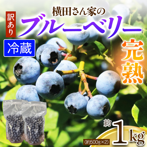 [訳あり]横田さん家の完熟ブルーベリー 約1kg (約500g×2) [2330]
