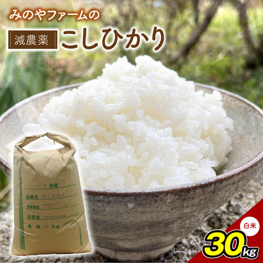 みのやファームの減農薬こしひかり 30kg(白米)