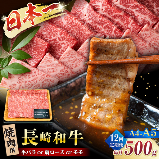 【12回定期便】【A4〜A5】長崎和牛焼肉用　500ｇ＜株式会社MEAT PLUS＞[CFT033]